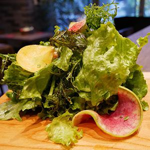 LEAFRUの野菜使用新鮮サラダ